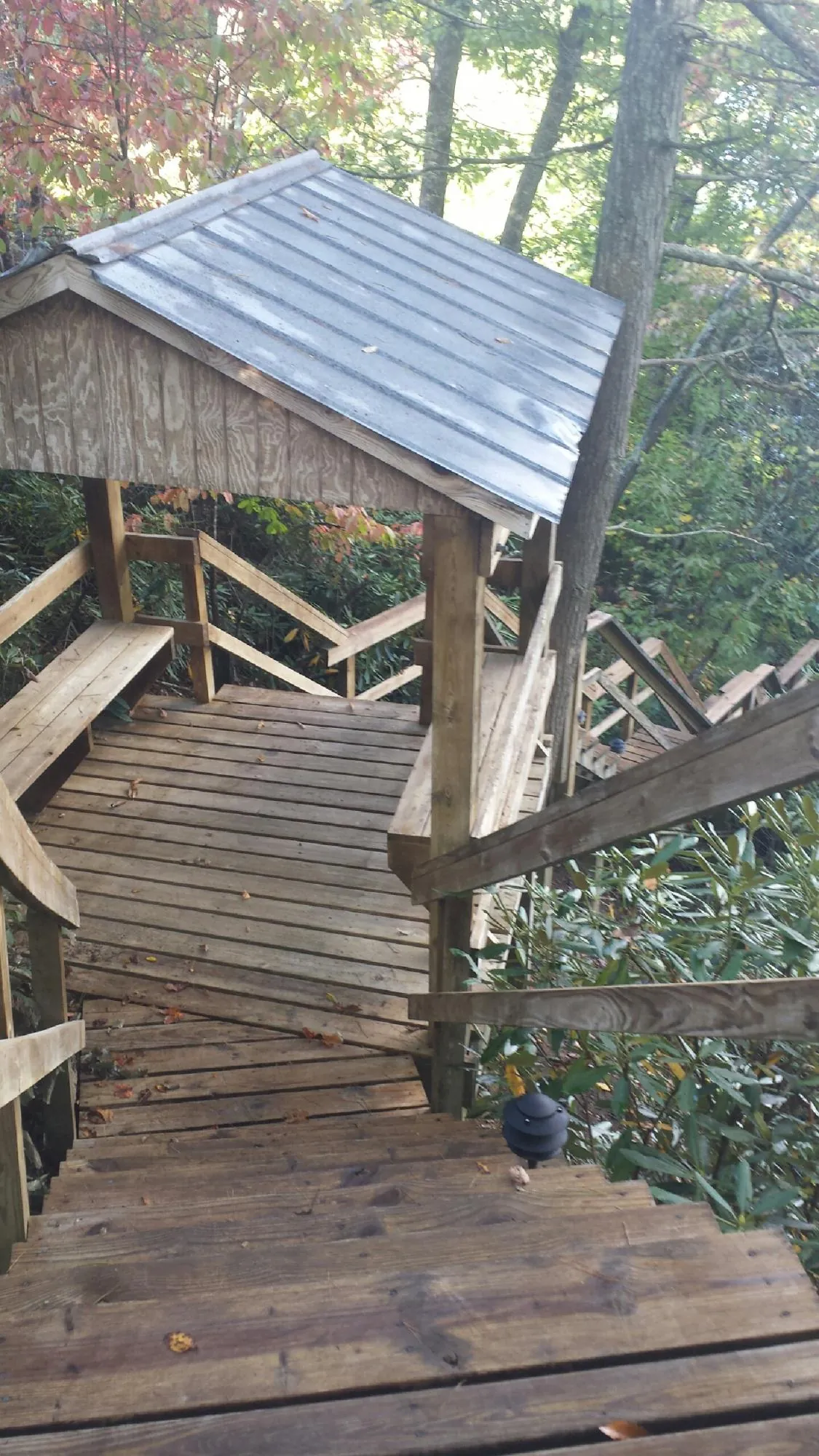 Metal roofed shelter over wooden steps on a wooded walkway — Skylight Repair & Installation work by our crew in Vidor
